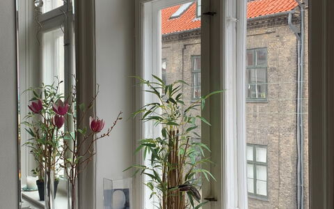 Prinsessegade - Close To Christiania: Living Room