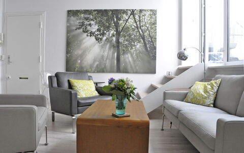 Købmagergade - Copenhagen Downtown: Living Room