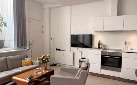 Købmagergade - Copenhagen Downtown: Kitchen, Living Room