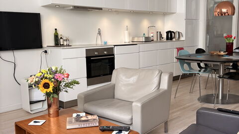 Købmagergade - Copenhagen Downtown: Kitchen, Living Room