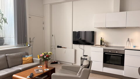 Købmagergade - Copenhagen Downtown: Kitchen, Living Room