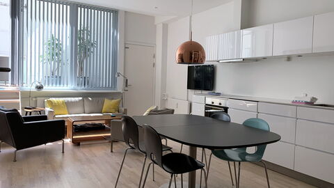 Købmagergade - Copenhagen Downtown: Dining Room, Kitchen, Living Room