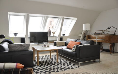 Toldbodgade - Close To Nyhavn: Living Room