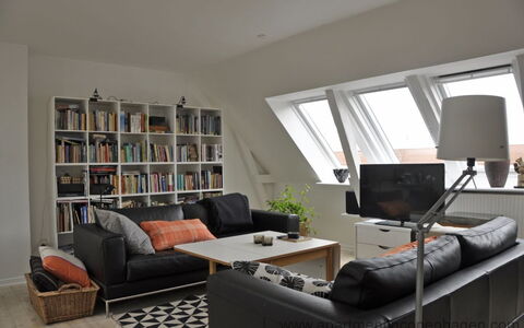 Toldbodgade - Close To Nyhavn: Living Room