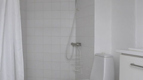 Toldbodgade - Close To Nyhavn: Bathroom