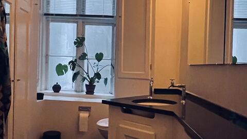 Absolute Center - Close To Strøget: Bathroom