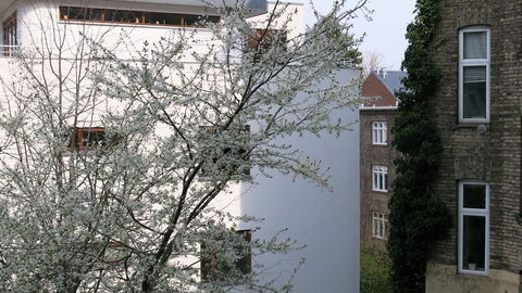 Holsteinsgade - The Quiet Neighbourhood