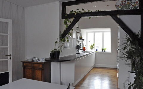 Christianshavn - Close To Christiania: Kitchen