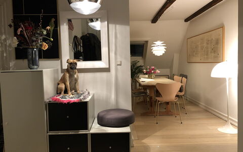 Østerbro - 2 Bedrooms - 5 People