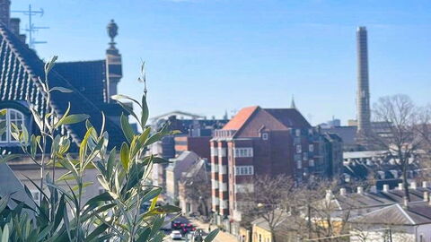 Østerbro - 2 Bedrooms - 5 People: Scenic View