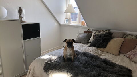 Østerbro - 2 Bedrooms - 5 People