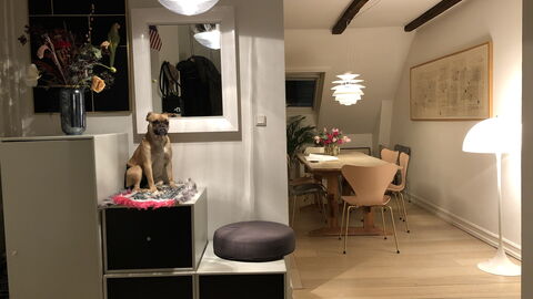 Østerbro - 2 Bedrooms - 5 People